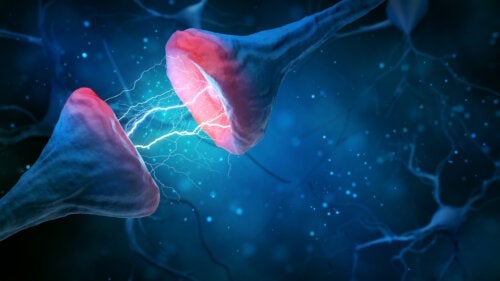 Przycinanie synaptyczne: co to jest i dlaczego jest tak ważne?