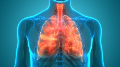 Mikrobiom płuc: czy płuca są sterylne?